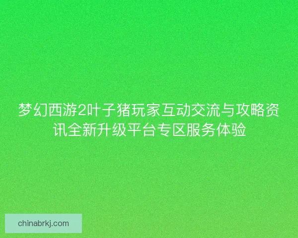 梦幻西游2叶子猪玩家互动交流与攻略资讯全新升级平台专区服务体验