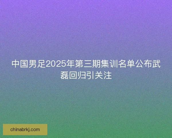中国男足2025年第三期集训名单公布武磊回归引关注